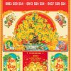 Bìa ép kim Mai Xuân